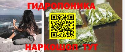 PSILOCYBIN Гагарин