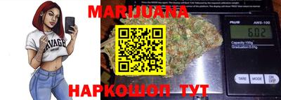 стаф Гатчина