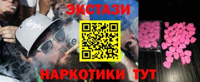 стаф Гатчина