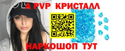 стаф Гатчина