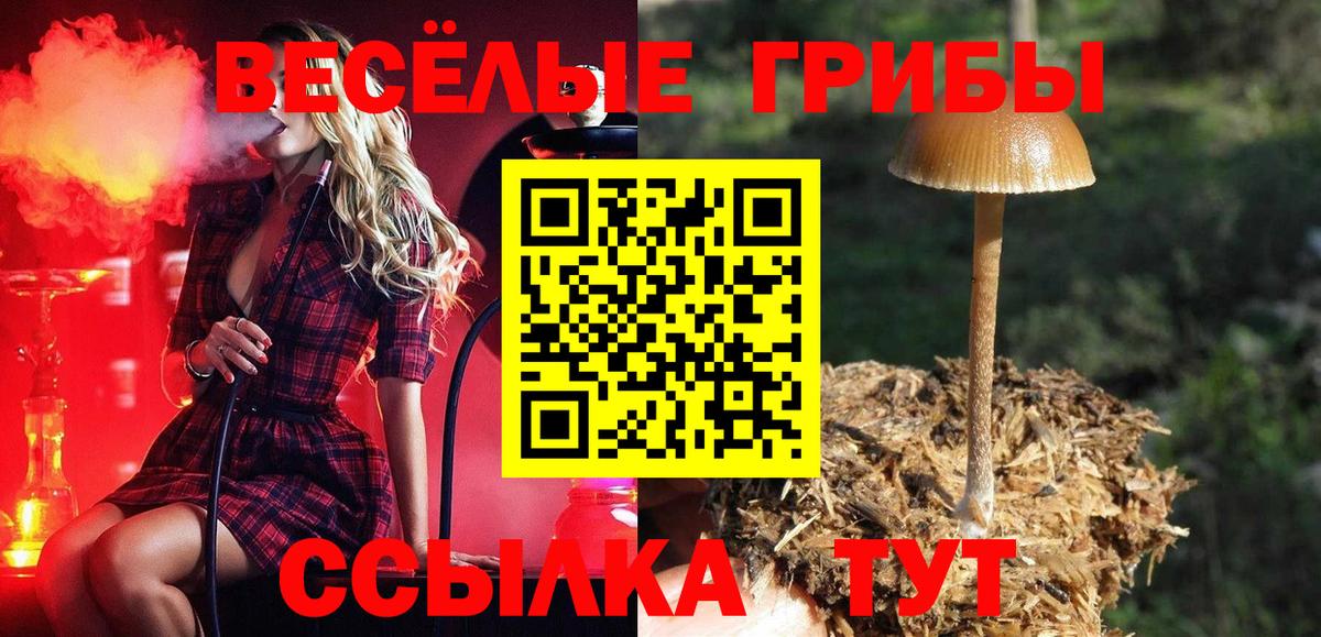 Псилоцибиновые грибы прущие грибы Вятские Поляны