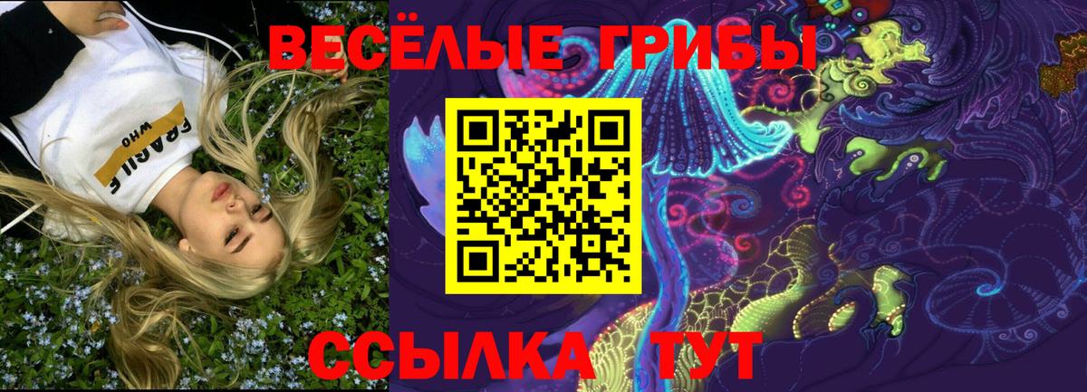 Псилоцибиновые грибы Magic Shrooms  Вятские Поляны  где купить   Псилоцибиновые грибы MAGIC MUSHROOMS 