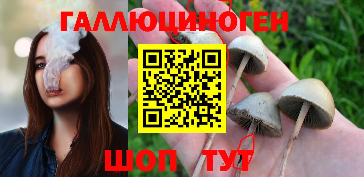 Галлюциногенные грибы мухоморы  Вход с VPN  Галлюциногенные грибы MAGIC MUSHROOMS  Вятские Поляны 